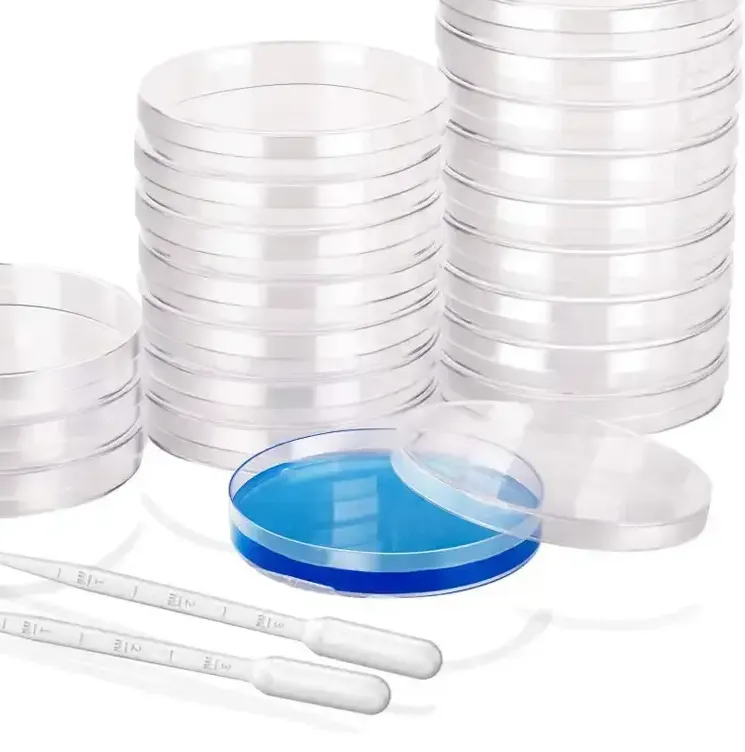 Placa de Petri d'una habitació i de diverses habitacions de laboratori